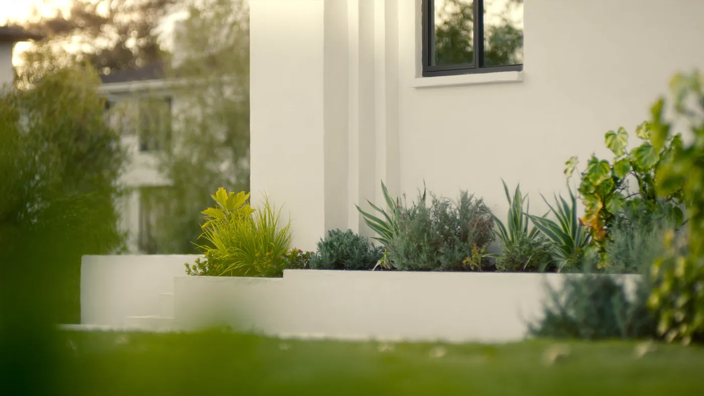 A pristine modern home exterior with a tidy healthy garden at golden hour